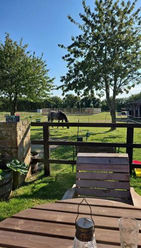 trädgård, Tranquil Equestrian Escape - Sleeps 2 in Mablethorpe trädgård, Tranquil Equestrian Escape - Sleeps 2 in Mablethorpe