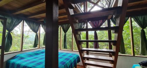 A szálláshely kívülről, Lodge France Amazonia in Puerto Misahualli A szálláshely kívülről, Lodge France Amazonia in Puerto Misahualli