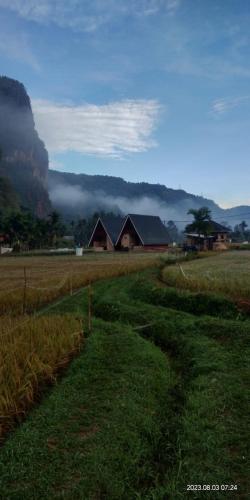 Livio Homestay in Sarilamak Livio Homestay in Sarilamak