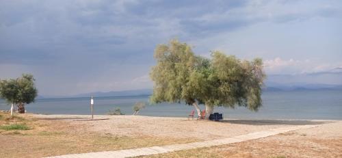 ชายหาด, Annie's sweet home Paralio Astros in พาราเลียน แอสทรอส ชายหาด, Annie's sweet home Paralio Astros in พาราเลียน แอสทรอส