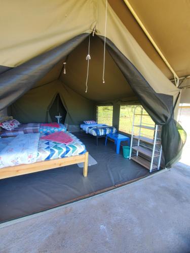 Nyangulo maasai mara safari camp in Narok Nyangulo maasai mara safari camp in Narok