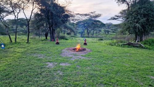 Attractions, Africa Safari South Serengeti Ndutu Ngorongoro in Ngorongoro Attractions, Africa Safari South Serengeti Ndutu Ngorongoro in Ngorongoro