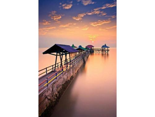 Horseback riding, My Studio Hotel City Center in Surabaya Horseback riding, My Studio Hotel City Center in Surabaya