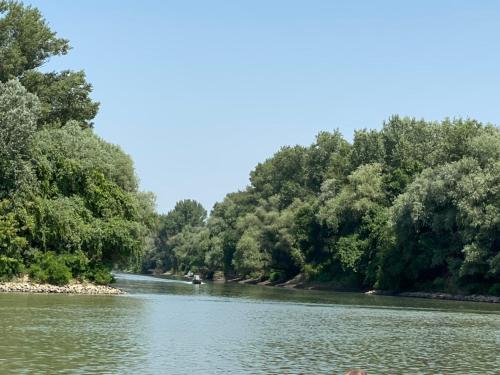 Jókai 10 Vendégház Présház Csongrád (Jokai 10 Vendeghaz Preshaz Csongrad) in Csongrád Jókai 10 Vendégház Présház Csongrád (Jokai 10 Vendeghaz Preshaz Csongrad) in Csongrád