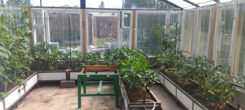 Sevan Backstage Garden in Shahumyan Sevan Backstage Garden in Shahumyan