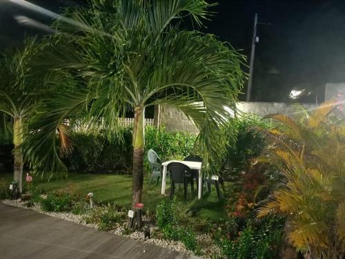 Градина, Appartement charmant à Sainte-Anne, 70 m², avec piscine (Appartement charmant a Sainte-Anne, 70 m², avec piscine) in Сен Ан Градина, Appartement charmant à Sainte-Anne, 70 m², avec piscine (Appartement charmant a Sainte-Anne, 70 m², avec piscine) in Сен Ан