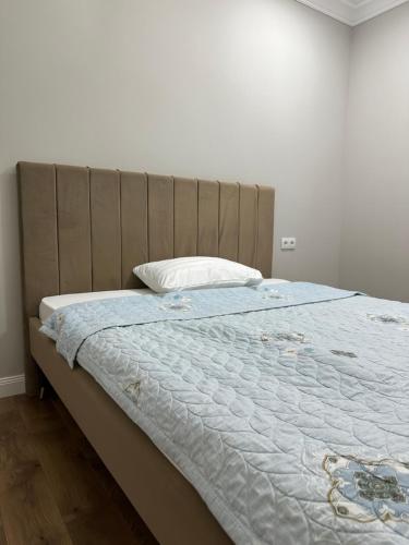 Comfortable apartment in Almaty