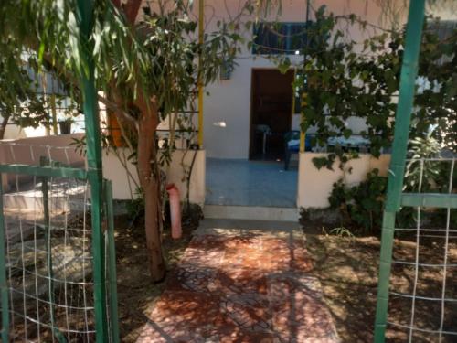 Rooms for Rent Divjaka Beach in Divjake Rooms for Rent Divjaka Beach in Divjake