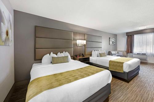 迪克森貝斯特韋斯特酒店 (Best Western Dickson) in 迪生 (TN) 迪克森貝斯特韋斯特酒店 (Best Western Dickson) in 迪生 (TN)