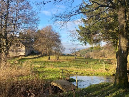 المنطقة المحيطة, Ferienwohnung Stähbachtal (Ferienwohnung Stahbachtal) in Kaisersesch المنطقة المحيطة, Ferienwohnung Stähbachtal (Ferienwohnung Stahbachtal) in Kaisersesch