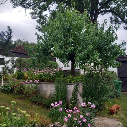 Вид, U tří jasanů (U tri jasanu) in Їхлава Вид, U tří jasanů (U tri jasanu) in Їхлава