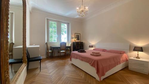 Cannes - proche des plages de la célèbre Croisette