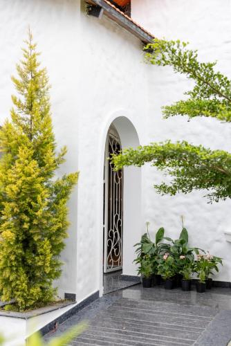 Bangalore farm house stay 12plus members 2 and half acres plantation in Malur Bangalore farm house stay 12plus members 2 and half acres plantation in Malur