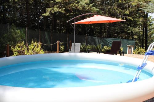 Le Conifere in ピニョーラ Le Conifere in ピニョーラ