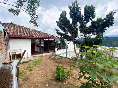 Garden, Casa La Elvira in Apia Garden, Casa La Elvira in Apia