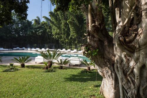Piscine, Le Sphinx Boutique Hotel in Mohammedia Piscine, Le Sphinx Boutique Hotel in Mohammedia