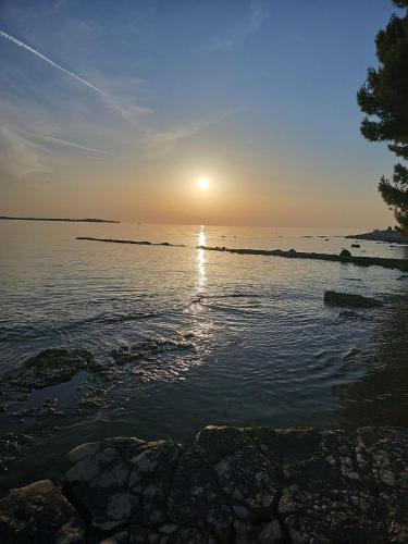 景觀, Weiße Feder in 沃德年 景觀, Weiße Feder in 沃德年