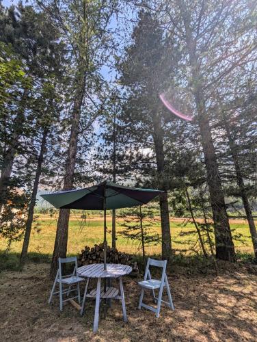 tuin, Grand appartement individuel in Vallouise tuin, Grand appartement individuel in Vallouise