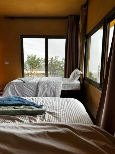 Wild Dana Eco Lodge- Hotel-Eco-Camp in Dana Wild Dana Eco Lodge- Hotel-Eco-Camp in Dana