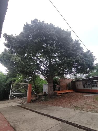 Garden, Hotel Eco Tours Tariquia in Bermejo Garden, Hotel Eco Tours Tariquia in Bermejo