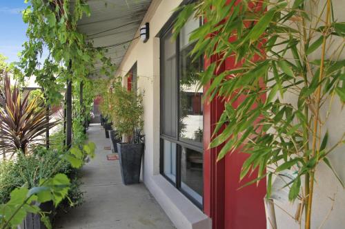 المرافق, Beechworth On Bridge Motel in بيشوورث المرافق, Beechworth On Bridge Motel in بيشوورث