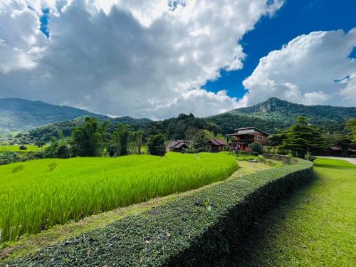 Angha forest view บ้านเพลินใจ near Doi Inthanon National Park Angha forest view บ้านเพลินใจ near Doi Inthanon National Park