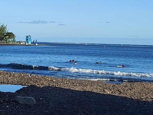 Beach, Location Villa ARIIMOANA in Toanoano Beach, Location Villa ARIIMOANA in Toanoano