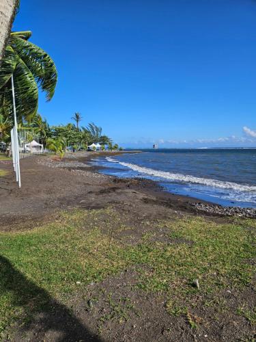 View, Location Villa ARIIMOANA in Toanoano View, Location Villa ARIIMOANA in Toanoano