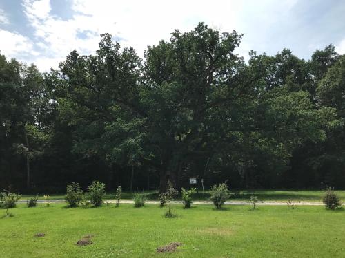 Cerca de lugares turísticos, Vitalpension Bad Blumau - ADULTS ONLY in Bad Blumau Cerca de lugares turísticos, Vitalpension Bad Blumau - ADULTS ONLY in Bad Blumau