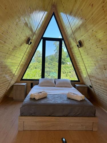 Cottage Lemons In Gonio