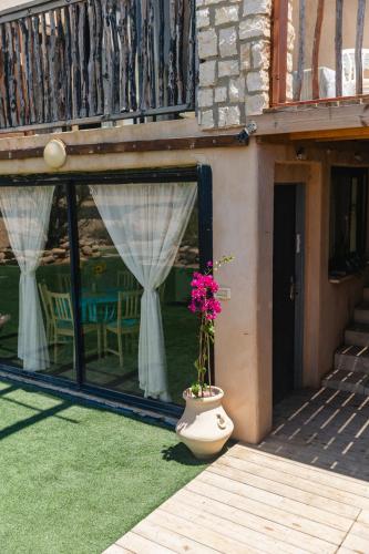 שיח מדבר לינה בנגב Burning Bush Negev in Sde Boker שיח מדבר לינה בנגב Burning Bush Negev in Sde Boker