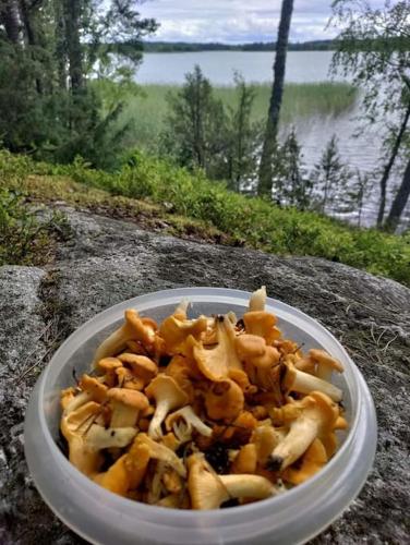 Viihtyisa mokki jarven rannalla in Sysma Viihtyisa mokki jarven rannalla in Sysma