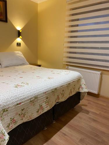 Dotări, Hostal Graciela in Pucon Dotări, Hostal Graciela in Pucon