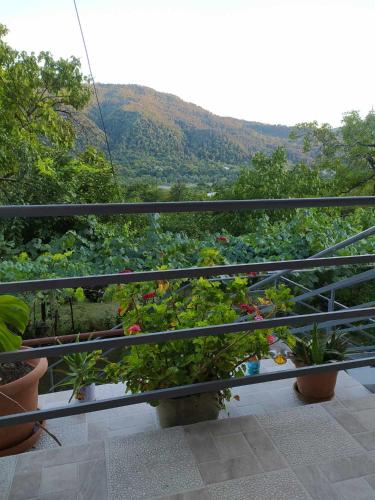 Family Hotel Sani in Ambrolauri Family Hotel Sani in Ambrolauri