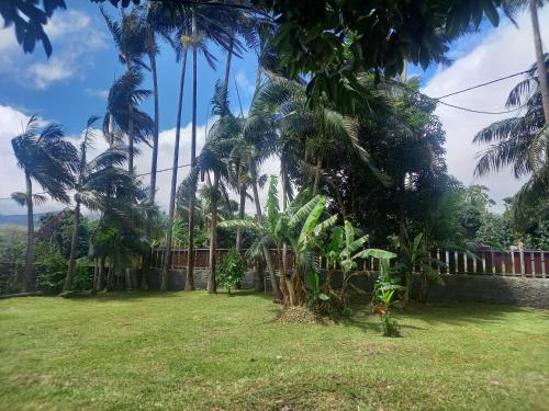 La grenadine in Sainte Anne La grenadine in Sainte Anne