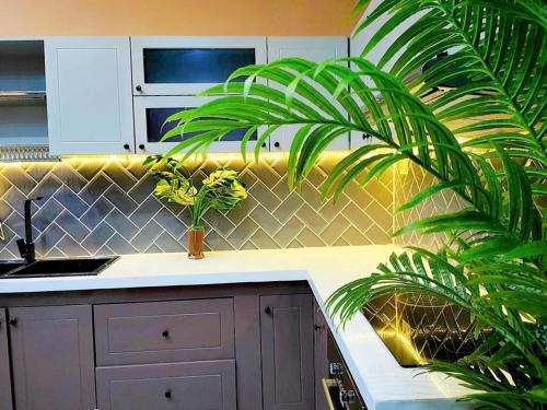 1 Bedroom Hotel Homestay Hostel in Nha Yen, Can Tho in An Binh 1 Bedroom Hotel Homestay Hostel in Nha Yen, Can Tho in An Binh