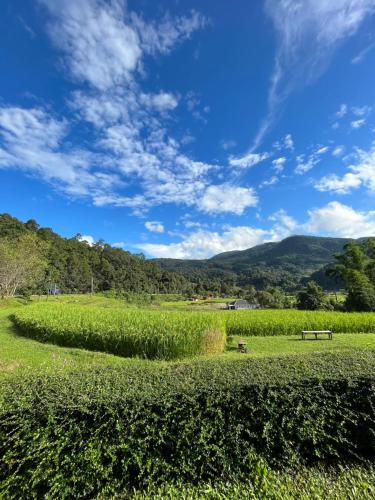 Angha forest view บ้านเคียงดอย near Doi Inthanon National Park Angha forest view บ้านเคียงดอย near Doi Inthanon National Park