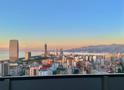 Panoramic views of the sea, mountains and city