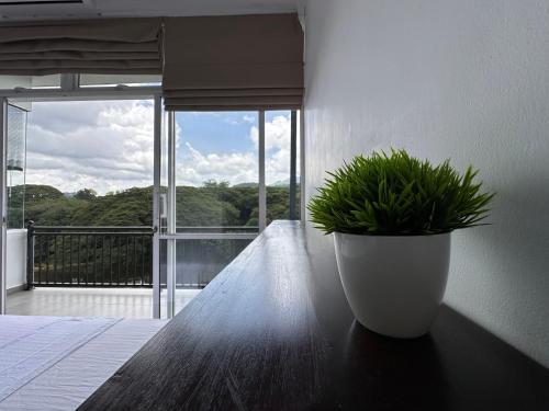 Varsity Villa in بيرادينيا Varsity Villa in بيرادينيا