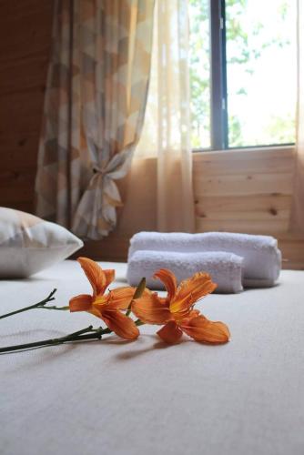Guest House Brili in Ghebi in Glola Guest House Brili in Ghebi in Glola