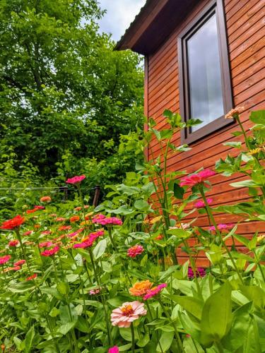 Guest House Brili in Ghebi in Glola Guest House Brili in Ghebi in Glola