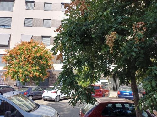 Estudios Nuevos Madrid Centro in Villaverde Estudios Nuevos Madrid Centro in Villaverde