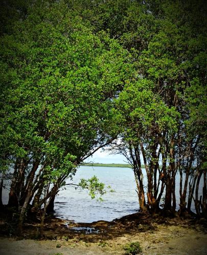 Nearby attraction, Coco Bloom in Aborlan Nearby attraction, Coco Bloom in Aborlan