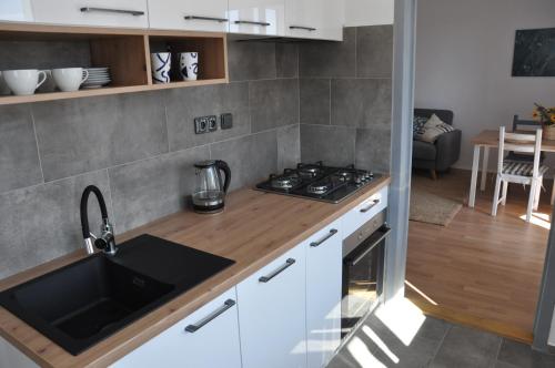 Konyha, Pohoda apartmán Třeboň (Pohoda apartman Trebon) in Trebon Konyha, Pohoda apartmán Třeboň (Pohoda apartman Trebon) in Trebon