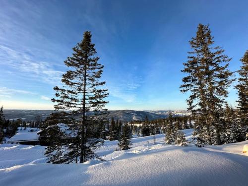 New chalet with great view in Oyer New chalet with great view in Oyer