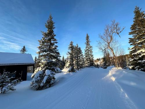 New chalet with great view in Oyer New chalet with great view in Oyer