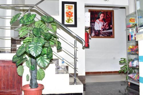 Hotel Shelomit in Nauta Hotel Shelomit in Nauta