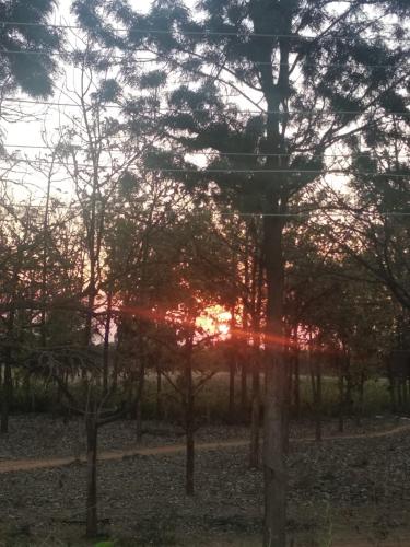 Armann Farmstay - A luxury getaway with beautiful views of Nandi Hills in Other Armann Farmstay - A luxury getaway with beautiful views of Nandi Hills in Other