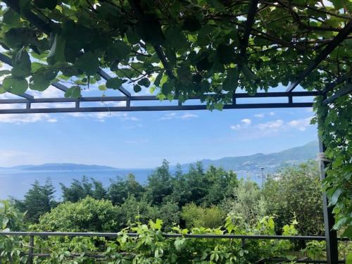 สภาพแวดล้อมโดยรอบ, Apartman Danica in ซิโควิซี สภาพแวดล้อมโดยรอบ, Apartman Danica in ซิโควิซี