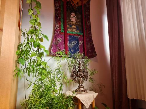 Létesítmények, Seminarhaus Arya Maitreya in Kaufbeuren Létesítmények, Seminarhaus Arya Maitreya in Kaufbeuren